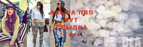 гашик Алзамай